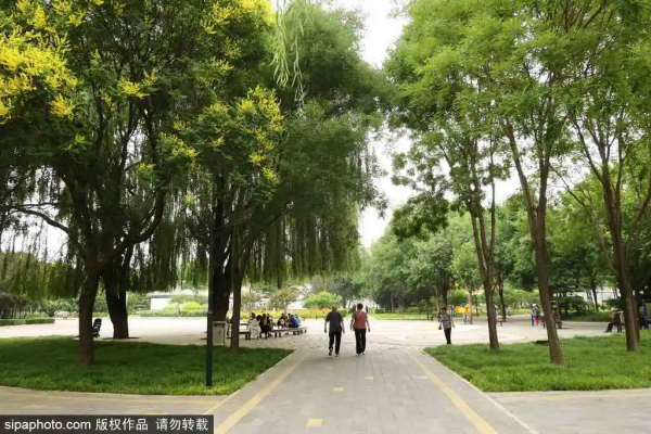 唯美浪漫!紫色馬鞭草盛放,北京這些人少景美的免費公園,你不一定都去過 唯美浪漫!紫色馬鞭草盛放,北京這些人少景美的免費公園,你不一定都去過