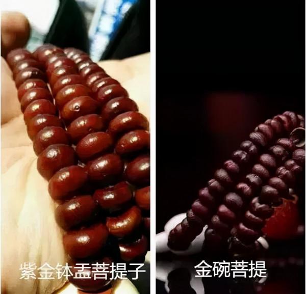 冷門,但這菩提包漿效果卻出奇地好 冷門,但這菩提包漿效果卻出奇地好