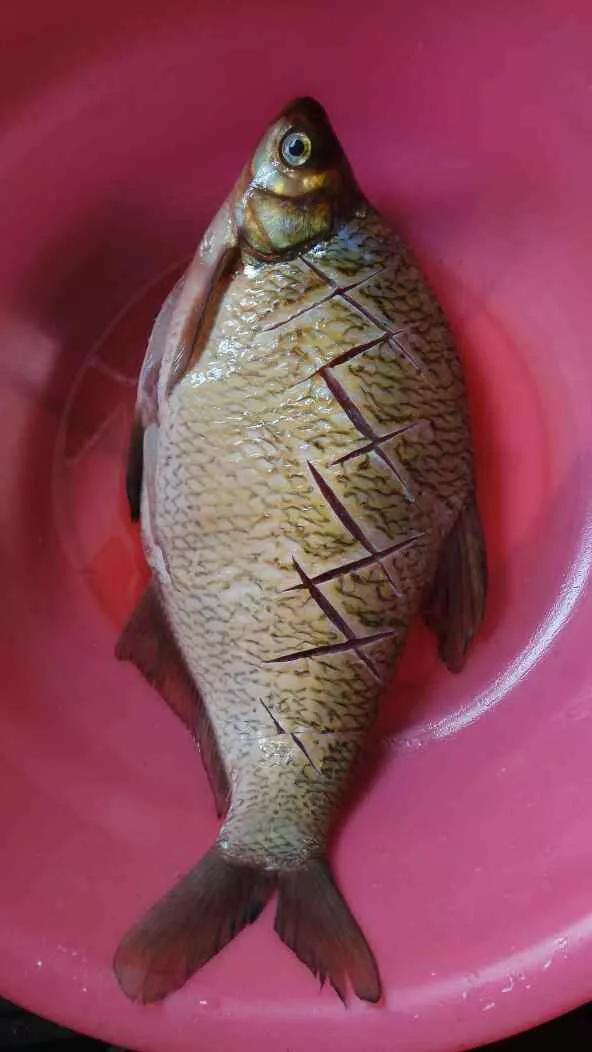 為啥你只會切一種形狀的菜為啥你的菜沒有食慾看大廚怎麼說(三) 為啥你只會切一種形狀的菜為啥你的菜沒有食慾看大廚怎麼說(三)