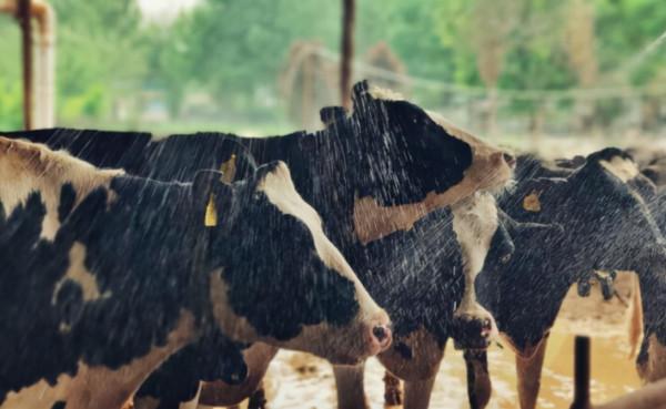 政策：國家建設300個休閒農業縣；褚一斌：種植數字化要長期沉澱