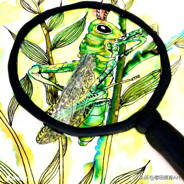 教程丨少兒美術課程《昆蟲記》