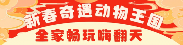 春節嗨玩預警！雲南野生動物園&OpenCurlyDoubleQuote;萌虎&rdquo;陪你賀新年，2022虎虎生威