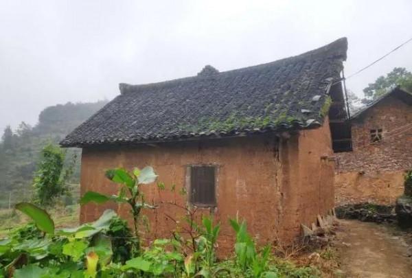 民國農村探案：雨夜樹上三人被困樹下現雙屍，稚童看出端倪破兇案