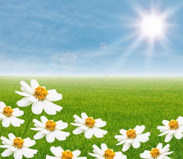 圖片分享一一乎倫貝爾大草原美景