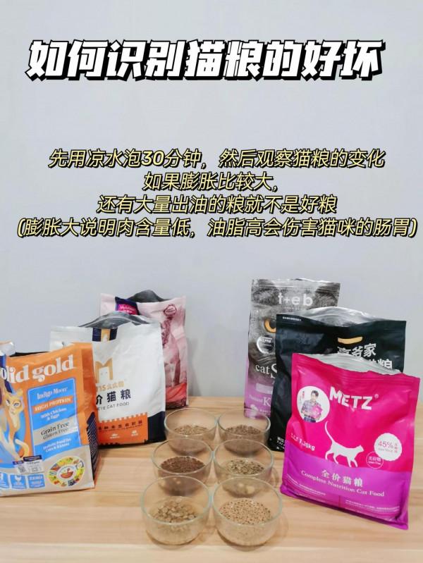 如何識別貓糧好壞 不要踩雷啊