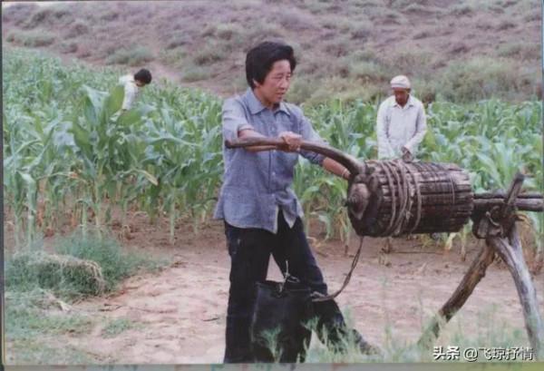 治沙女傑:37年前負債累累,承包11萬畝荒沙,種2800萬棵樹,為啥 治沙女傑:37年前負債累累,承包11萬畝荒沙,種2800萬棵樹,為啥