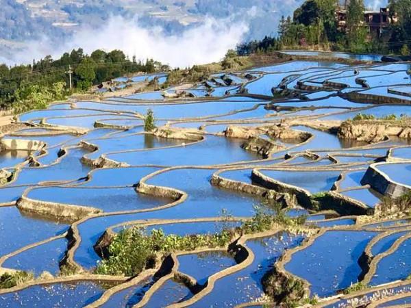 分享圖片——雲南風景如畫，美麗動人