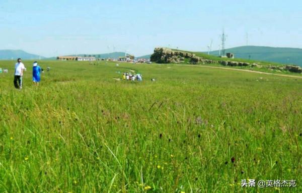 河北“空中草原”景觀,綠草如茵、野花遍地,海拔高達2158米 河北“空中草原”景觀,綠草如茵、野花遍地,海拔高達2158米