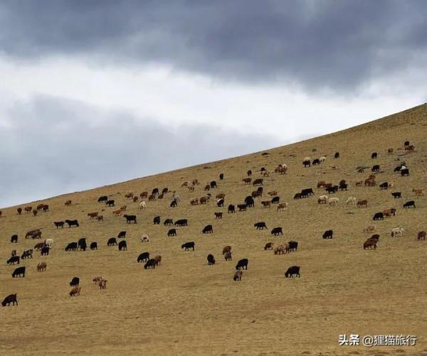 蒙古國最西端是巴彥烏列蓋省，這裡以哈薩克族為主，首府烏列蓋市