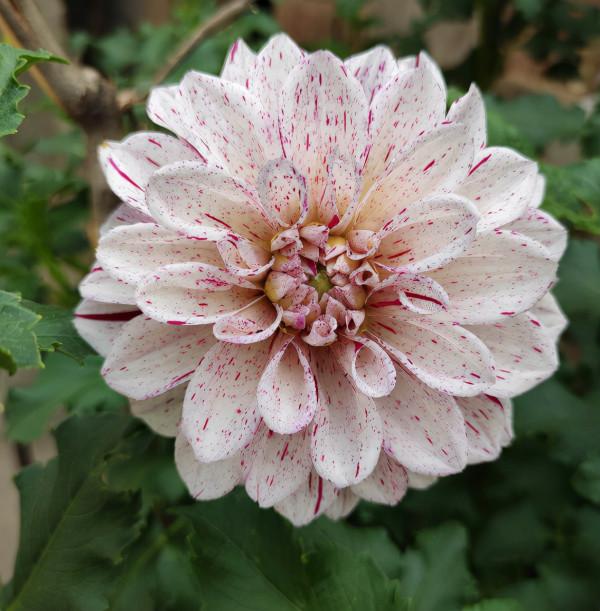 人到中年,4件事要看開,生活會越來越好 人到中年,4件事要看開,生活會越來越好