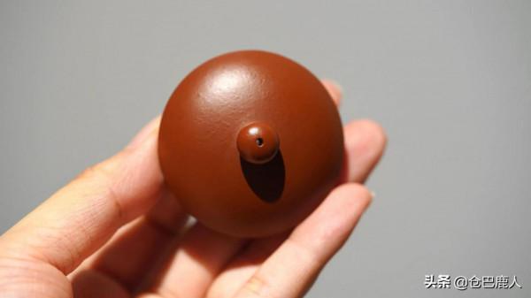 文旦壺「氣韻生動·出水芙蓉」 文旦壺「氣韻生動·出水芙蓉」