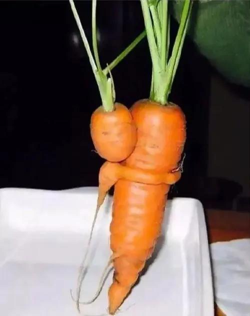 它們活成了我們想要的樣子