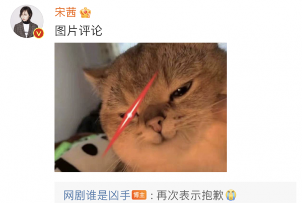 國產劇又在道歉了？要點臉