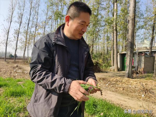 國家加大農業獎補力度，對農民種糧是個好訊息，2022年該如何調整