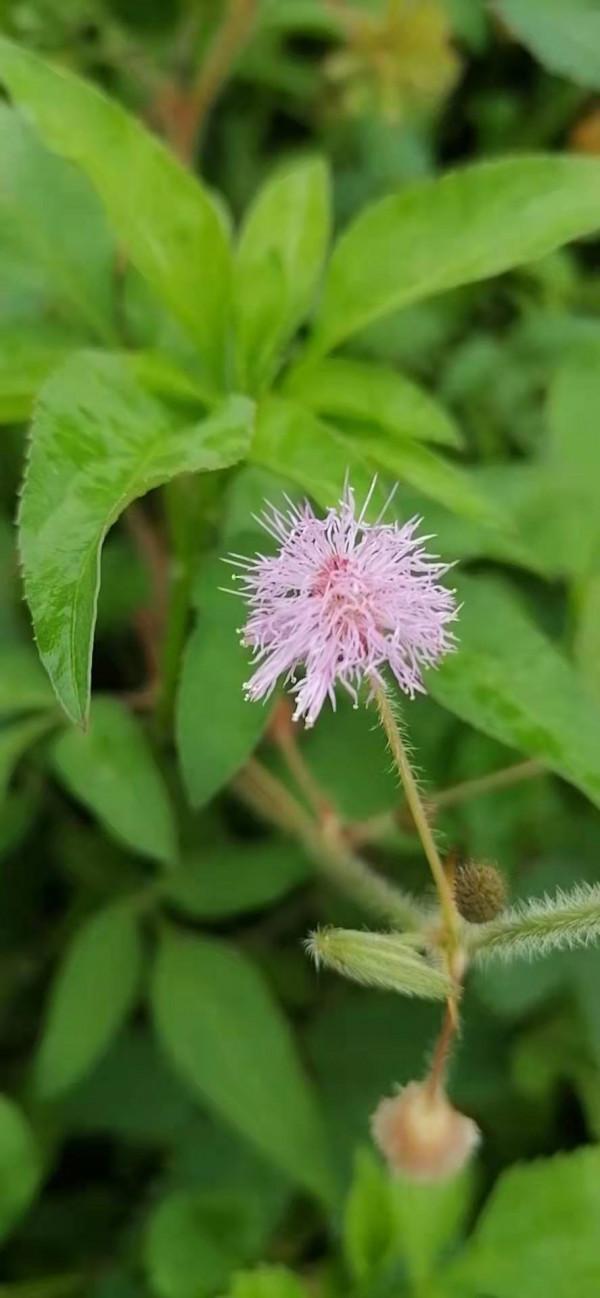 雲彩下的山城系列（四）
