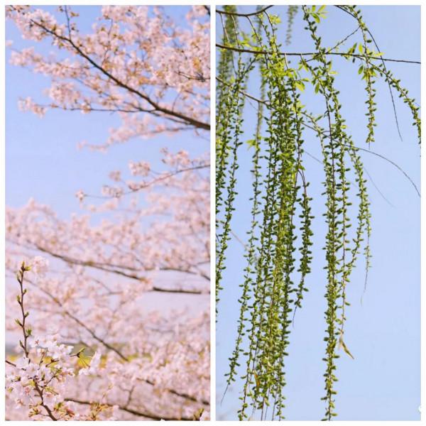 龍游味道:充滿辣與甜的人間煙火 龍游味道:充滿辣與甜的人間煙火