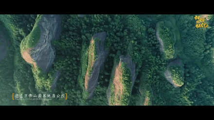 湖南這座城市不僅擁有“湘西最美高鐵”,還有沈從文最愛的開刀橘 湖南這座城市不僅擁有“湘西最美高鐵”,還有沈從文最愛的開刀橘