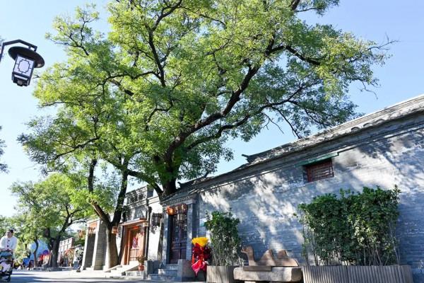 模式口大街,感受千年古道!別有一番風景 模式口大街,感受千年古道!別有一番風景