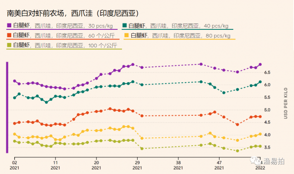 印尼的蝦價格在4周進一步上漲