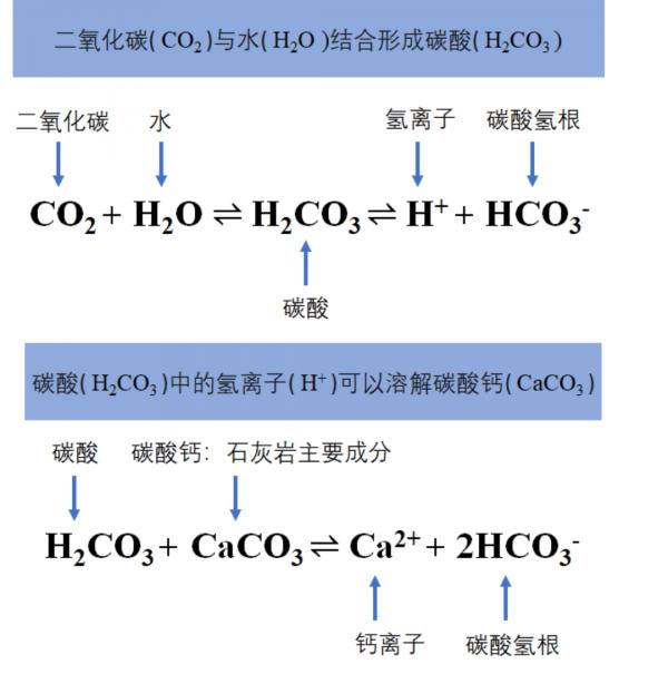 暑期出遊特輯:中國南方喀斯特 暑期出遊特輯:中國南方喀斯特