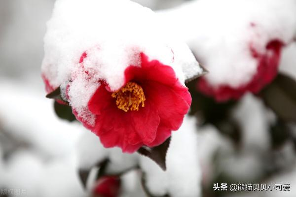 2022開局，美國通脹持續再創新高的動向，將帶來哪些衝擊和影響？