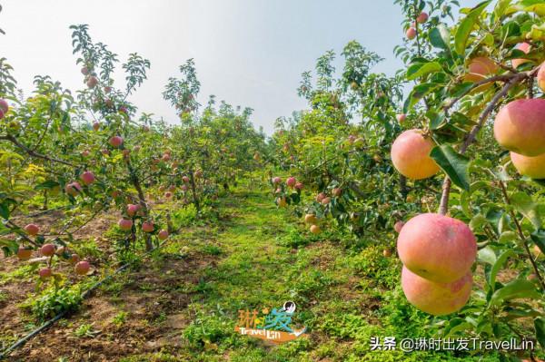 嚮往的鄉遊就在北京延慶