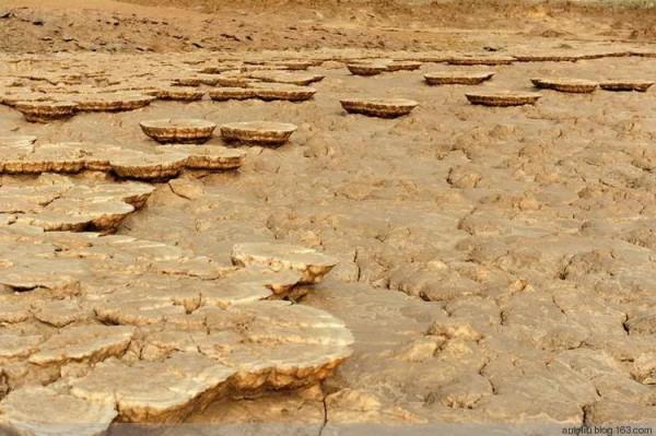 “再見地球！火星你好！”神奇如阿凡達的地方，你知道在哪兒嗎？