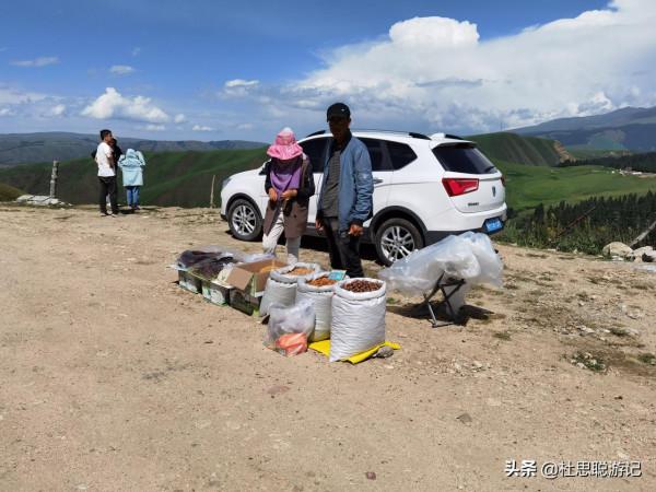 漢EV自駕新疆伊犁,動能回收高達40千瓦的坡,你見過沒有 漢EV自駕新疆伊犁,動能回收高達40千瓦的坡,你見過沒有