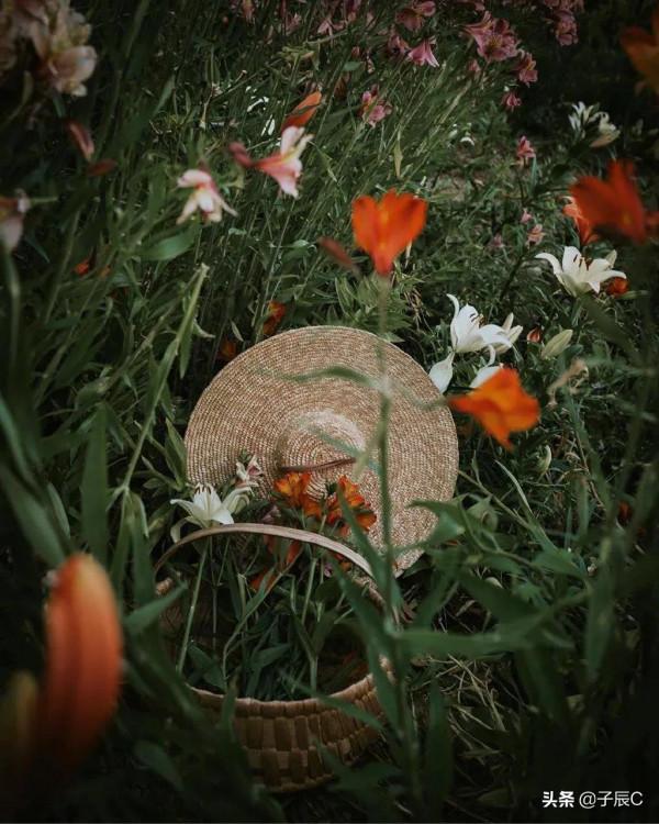 四宮冥王天蠍的救贖在哪裡？