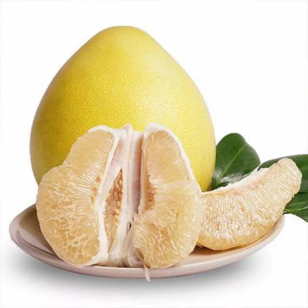 元旦將至,記得給家人吃6種“吉祥”水果,寓意平安順利吉祥如意 元旦將至,記得給家人吃6種“吉祥”水果,寓意平安順利吉祥如意