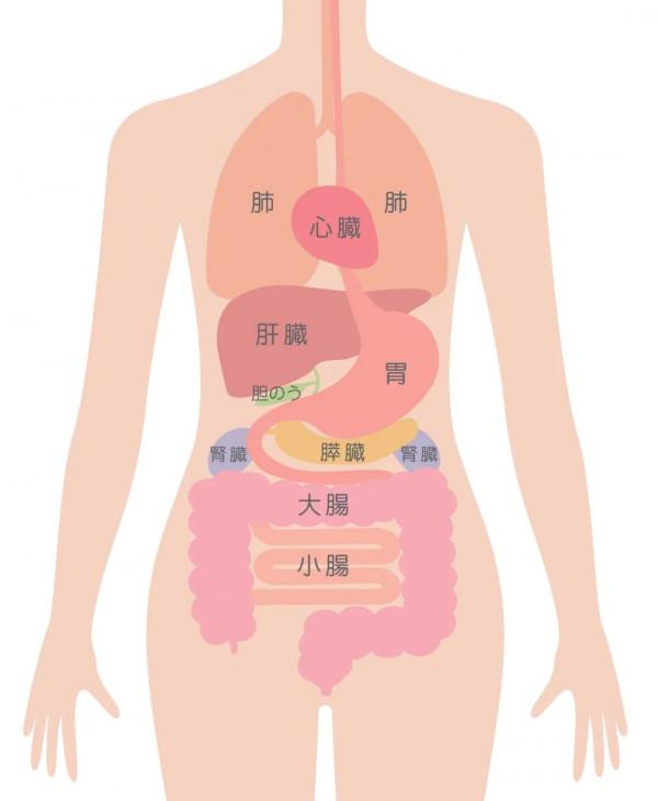 吃飽後該躺著、坐著，還是站著？醫生給出了標準答案