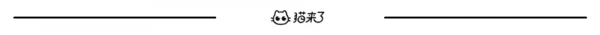 “我見過最長壽的流浪貓，活了29歲。”