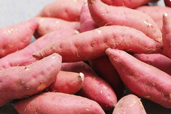 1個紅薯放鍋裡炸一炸，出鍋馬上變成一道快失傳的美食，太香了