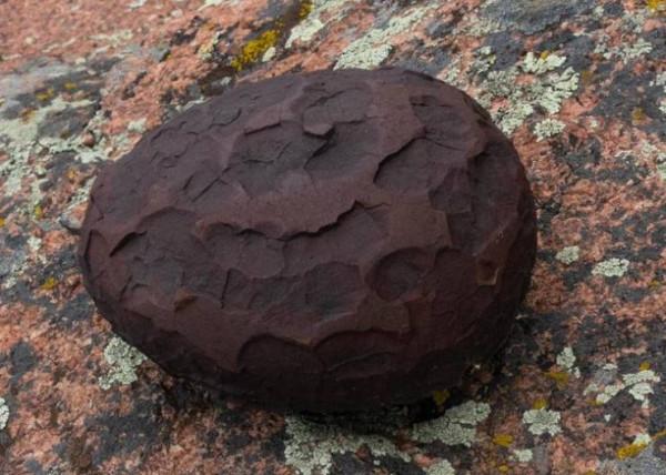 45張神奇的真實照片,日本刀劈開子彈,海龜擊掌問好,1950年夢露 45張神奇的真實照片,日本刀劈開子彈,海龜擊掌問好,1950年夢露