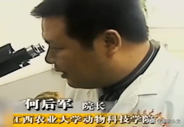 真實故事:江西56歲老農遇怪事,殺豬發現&quot;豬寶&quot;,專家調查揭開真相