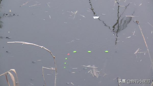 野釣,秋天是釣魚的大好時機,把握這2點就能收穫滿滿的 野釣,秋天是釣魚的大好時機,把握這2點就能收穫滿滿的