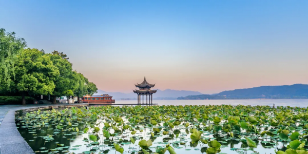 薇婭被罰13.41億元，遭全網封殺！網友：貧窮又限制了我的想象力