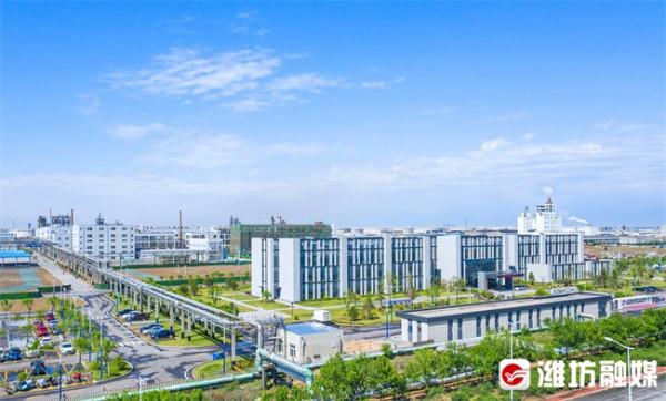 “閩浙”名企紛紛來紮根，“孔雀向北飛”緣何鍾情濱海？