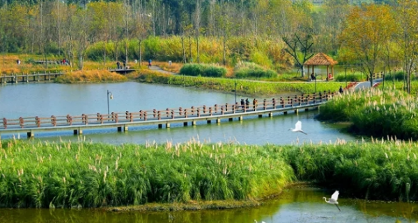 2022年旅遊去四川新增的22家4A級景區就夠了