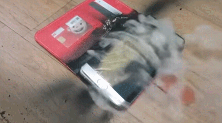 手機電量剩一半就充比較好,還是快沒電了再充比較好?為什麼? 手機電量剩一半就充比較好,還是快沒電了再充比較好?為什麼?