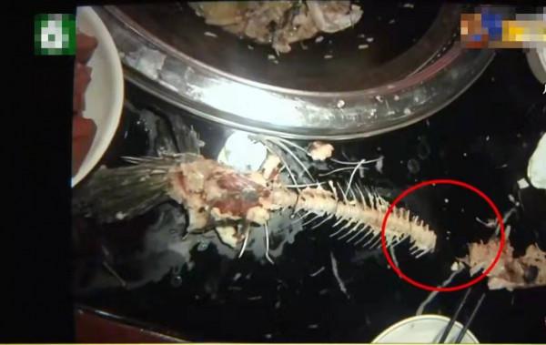 終於遇上較真的！顧客點了條魚，拼魚骨發現少了一塊：動手腳了？