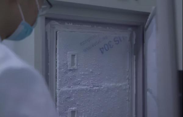 國產貓糧自建工廠和實驗室,經過實驗證明能美毛和幫助消化 國產貓糧自建工廠和實驗室,經過實驗證明能美毛和幫助消化