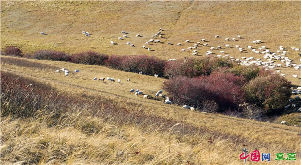 在怪山體驗,秋天的正確開啟方式 在怪山體驗,秋天的正確開啟方式