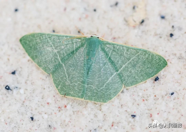 這是你不知道的高黎貢山 這是你不知道的高黎貢山