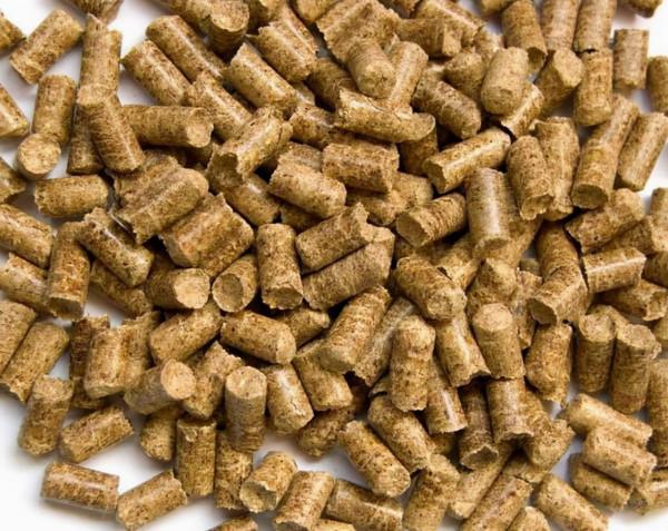 紅蟲顆粒這麼用，誘魚效果比紅蟲的效果還要好一些