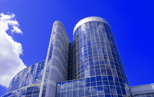 湖南小夥返鄉創業，種出身價十五萬的&quot;富貴樹&quot;，一年賣出800多萬