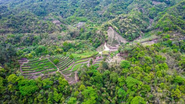 何必去黃果樹!廣東有超美嶺南第一瀑,藏在山谷幽深處,景美人少 何必去黃果樹!廣東有超美嶺南第一瀑,藏在山谷幽深處,景美人少