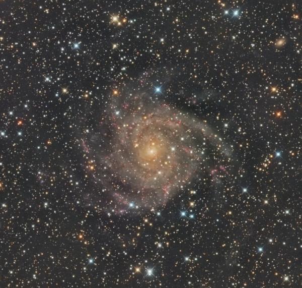 2022年所有星座的金錢運勢