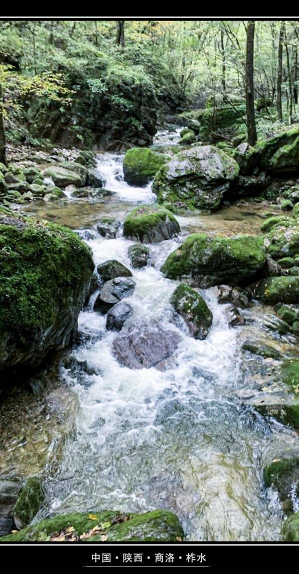 終南山牛背梁:靜謐的羚牛谷,溪、潭、瀑、橋可能並不是它的全部 終南山牛背梁:靜謐的羚牛谷,溪、潭、瀑、橋可能並不是它的全部
