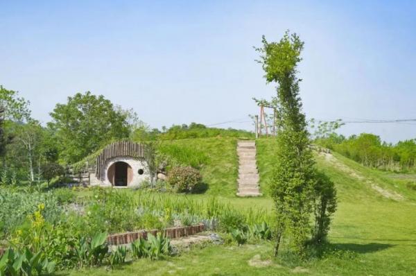 騰訊元老魏震：賺夠錢後辭職、攜妻兒退隱山林，每天種地喝茶？